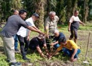 Akademisi USU Lakukan Kajian: Prospek Pengembangan Kebun Sawit Menjadi Agroforestry Berbasis Sawit