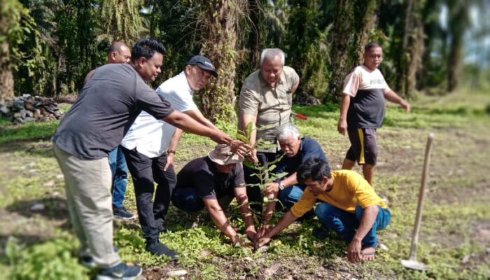 Akademisi USU Lakukan Kajian: Prospek Pengembangan Kebun Sawit Menjadi Agroforestry Berbasis Sawit