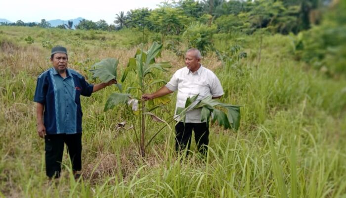 Akademisi USU Bersama Pesantren Al-Hidayah Reklamasi Lahan Bekas Tambang Galian C