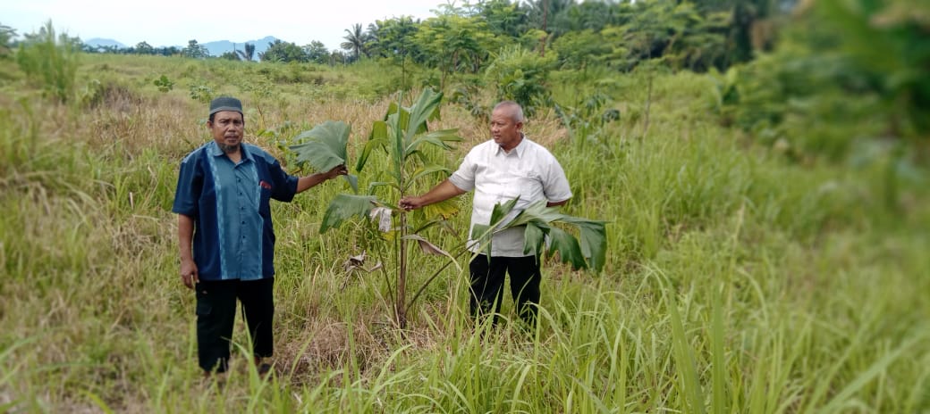 Akademisi USU Bersama Pesantren Al-Hidayah Reklamasi Lahan Bekas Tambang Galian C