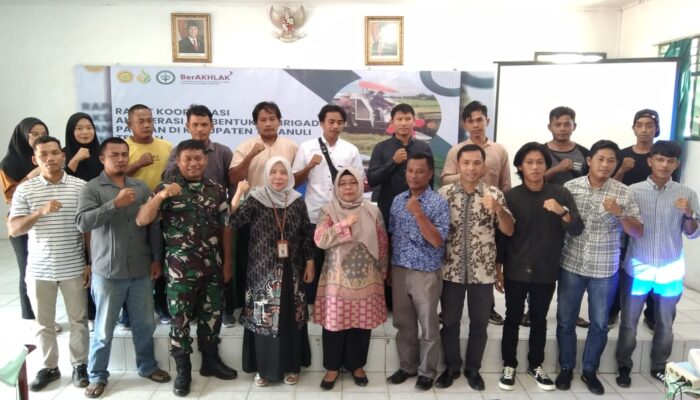 Wujudkan Ketahanan Pangan, Kementan Libatkan Petani Milenial