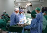 RS Adam Malik Dan Tim Medis Arab Saudi Lanjutkan Program Bedah Jantung Tahap 4