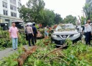Pohon Mahoni Tumbang Timpa Mobil Dan Betor, Dua Orang Dilarikan Ke RS