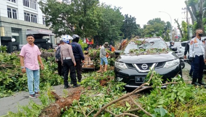 Pohon Mahoni Tumbang Timpa Mobil Dan Betor, Dua Orang Dilarikan Ke RS