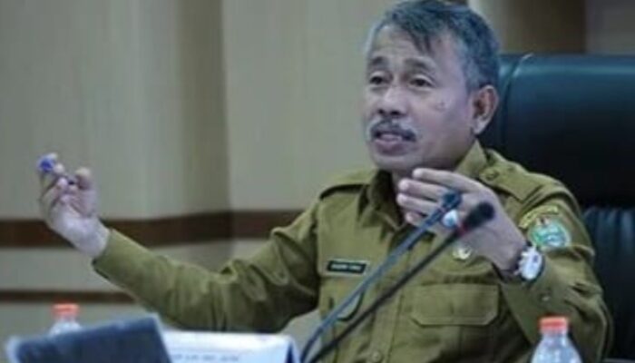 DBD Dan Malaria Di Nisel Masih Berstatus KLB
