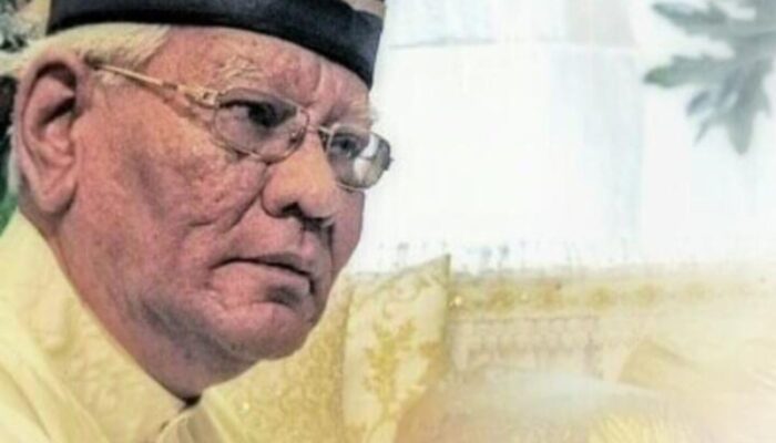 Raja Muda T. Hamdy Osman Delikhan Mangkat