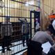 Polisi menggeledah tahanan di Sel Rutan Polres Aceh Timur di Polres Aceh Timur di Peudawa, Senin (21/10). Waspada/Muhammad Ishak