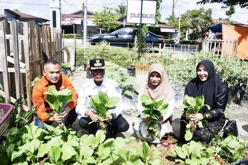 Pj Wali Kota Langsa Tinjau Pelaksanaan P2L Pj Wali Kota Langsa Tinjau Pelaksanaan P2L