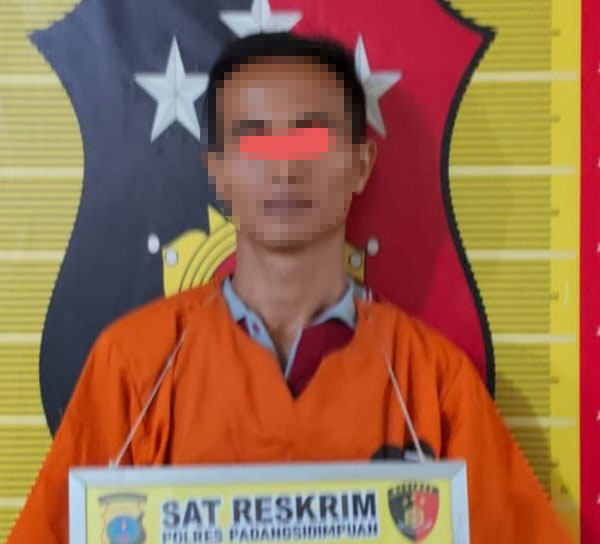 Terlapor HST, warga Cirebon, Jabar, saat diamankan di Mapolres Padangsidimpuan. Waspada/Ist