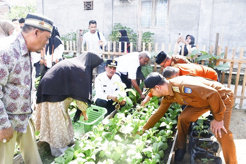 Pj Wali Kota Langsa Tinjau Pelaksanaan P2L
