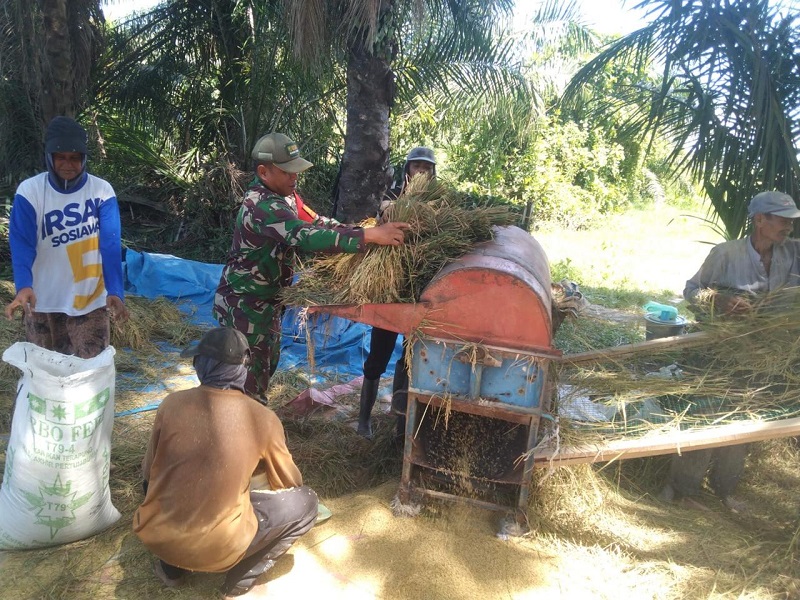 Kodim 0104/Aceh Timur Dorong Swasembada Pangan Kodim 0104/Aceh Timur Dorong Swasembada Pangan