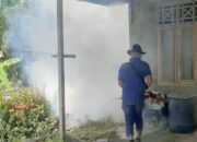 Rumah Warga Seuriget Difogging
