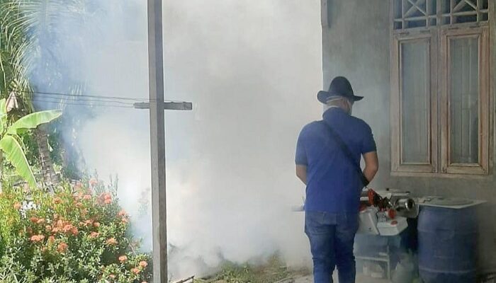Rumah Warga Seuriget Difogging