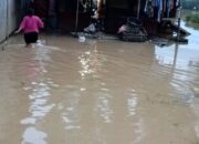 Kerusakan Hutan TNGL Picu Bencana Ekologis