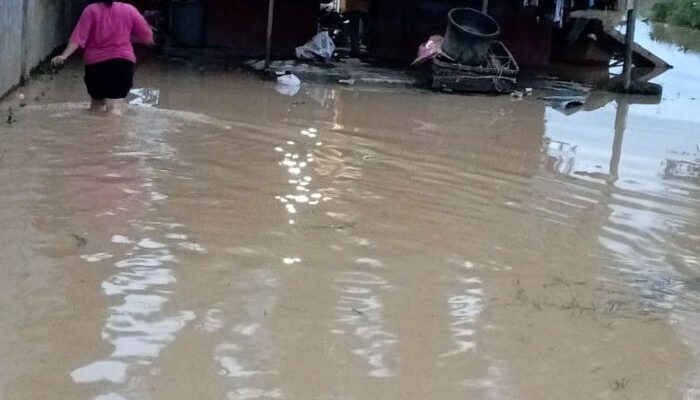 Kerusakan Hutan TNGL Picu Bencana Ekologis