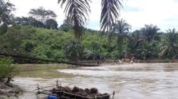 Titi gantung Desa Aek Lancat putus diterjang arus sungai akibatnya petani mengeluh karena hasil kebun sawit tidak bisa diangkut keluar.(Waspada/Ist)