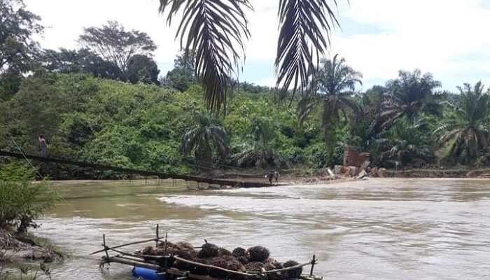 Titi Gantung Desa Aek Lancat Putus, Ratusan Petani Mengeluh
