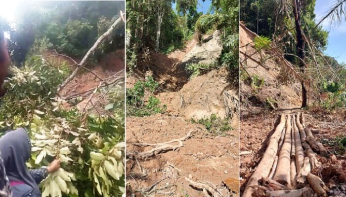 Mohon Perhatian Pj Gubsu, Ribuan Warga Tapsel Nyaris Terisolir