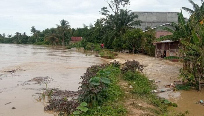 Aceh Tamiang Darurat Bencana