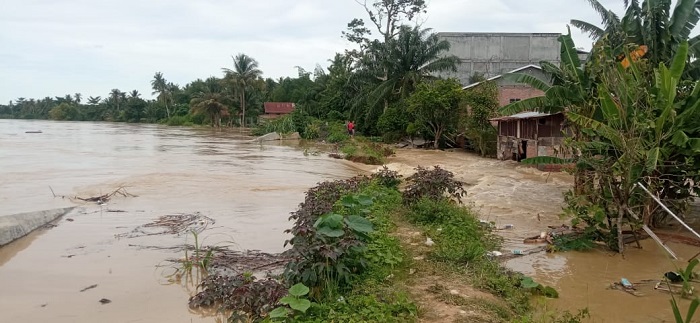 Tanggul jebol di Seruway, Kabupaten Aceh Tamiang. Waspada/Muhammad Hanafiah
