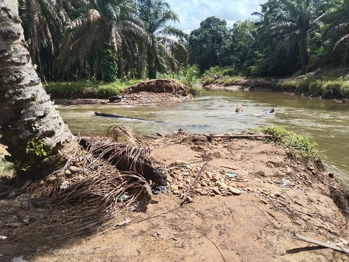 Saluran irigasi balakka sitokkon jebol diterjang arus sungai, petani dikhawatirkan bakal gagal tanam lagi musim tanam ini.(Waspada/Idaham Butar Butar)