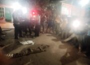 Buaya Liar Ditangkap Warga Batubara