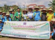 Dukung Program Ketapang, Lapas Kelas IIA P.Siantar Panen Raya Jagung WBP