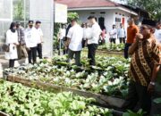 Pj Wali Kota Langsa Tinjau Pelaksanaan P2L