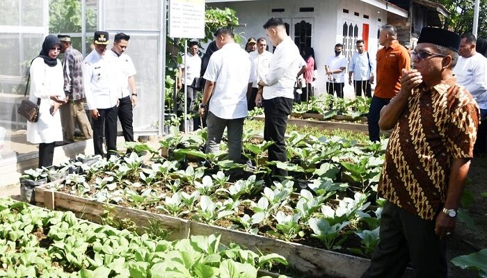 Pj Wali Kota Langsa Tinjau Pelaksanaan P2L