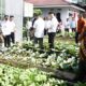 Pj Wali Kota Langsa, Dr Syaridin S.Pd, M.Pd saat meninjau pelaksanaan Pekarangan Pangan Lestari (P2L) di tiga kecamatan dalam wilayah Kota Langsa, Rabu (23/10). Waspada/dede
