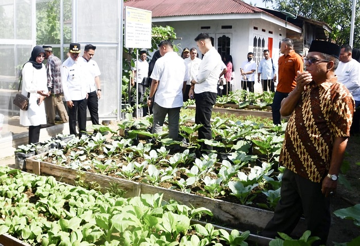 Pj Wali Kota Langsa, Dr Syaridin S.Pd, M.Pd saat meninjau pelaksanaan Pekarangan Pangan Lestari (P2L) di tiga kecamatan dalam wilayah Kota Langsa, Rabu (23/10). Waspada/dede