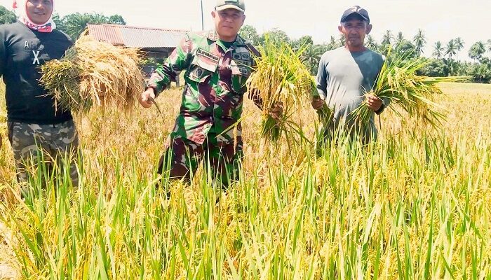 Kodim 0104/Aceh Timur Dorong Swasembada Pangan