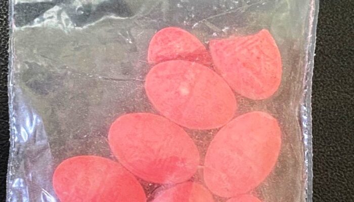 Kantongi Ekstasi, Dua Pemuda Diamankan Polisi