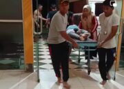 Kemah Pramuka Ditimpa Pohon, Seorang Tewas, 7 Luka