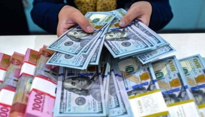 Cadangan Devisa Turun Tipis US$0,3 Miliar