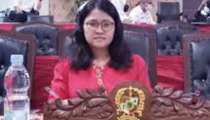 DPRD Dukung Pemko Medan Bantu Tumbuh Kembang Usaha Ekonomi Kreatif