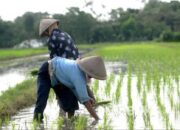 10 Tahun Terakhir Sektor Primer Kurang Diminati Investasi