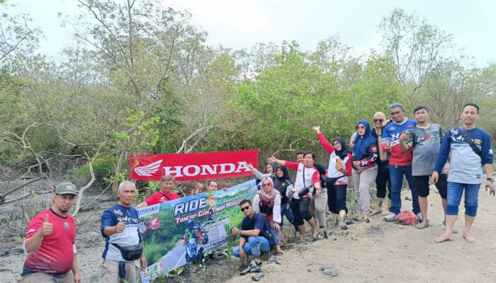 Bantuan Dampak Badai Banjir Pesisir, Honda Lakukan Penanaman Mangrove