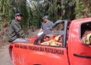 Mayat Korban Terakhir Dari Tragedi Longsor Sibolangit Ditemukan Di Namorambe