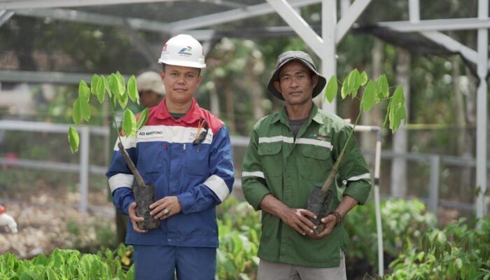 Dukung Petani Karet Lakukan Replanting, PGN Stasiun Pagardewa Kenalkan “SISTER DEWA”