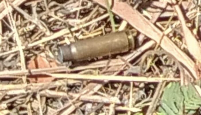 Posko Pemenangan Paslon Bupati Pijay Diteror Senjata Api