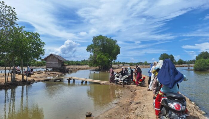 Jembatan Darurat Di Area Tambak Di Darul Aman Kerap Ambil Korban