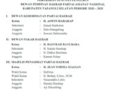 Ketua DPD PAN Tapsel Dicopot