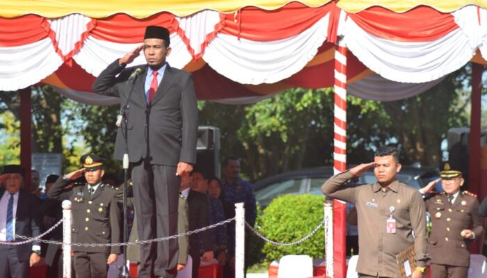 Plt Sekda Abdya Irup Hari Pahlawan