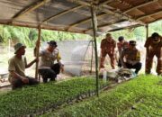 Kapolres Dukung Ketahanan Pangan Di Nangggroe Breuh Sigupai