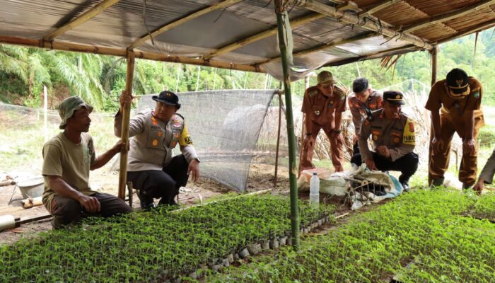 Kapolres Dukung Ketahanan Pangan Di Nangggroe Breuh Sigupai