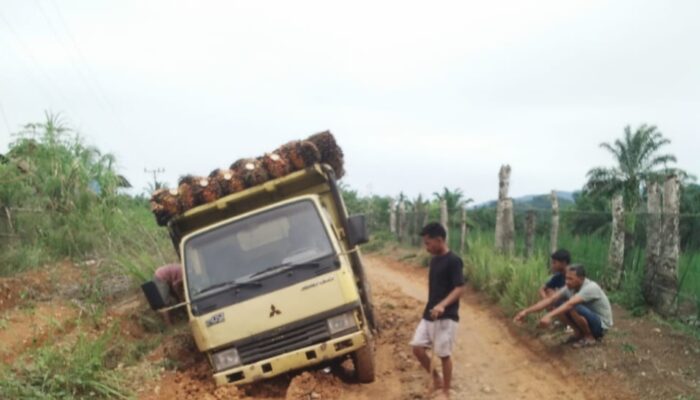 PMA Bantu Perbaikan Infrastruktur Jalan Di Kecamatan Sosa Julu