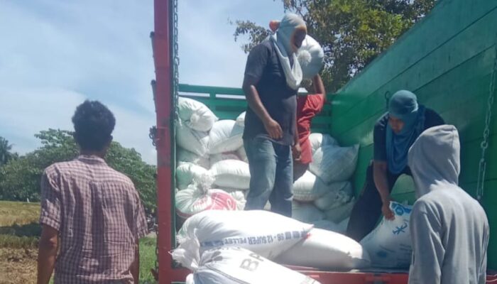 Harga Beli Gabah Dari Petani Bireuen Tak Sesuai