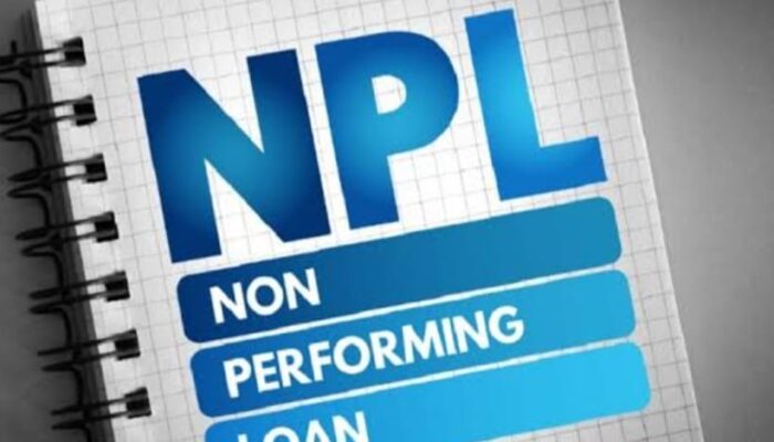 Rasio NPL BPR Semakin Anjlok, Tembus 11 Persen