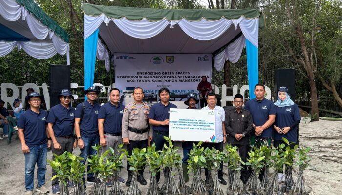 PLN UIP SBU Gelar Aksi Tanam 5.000 Batang Mangrove Di Pesisir Sergai